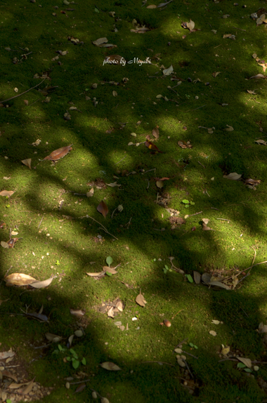 a0161698_20333974.jpg