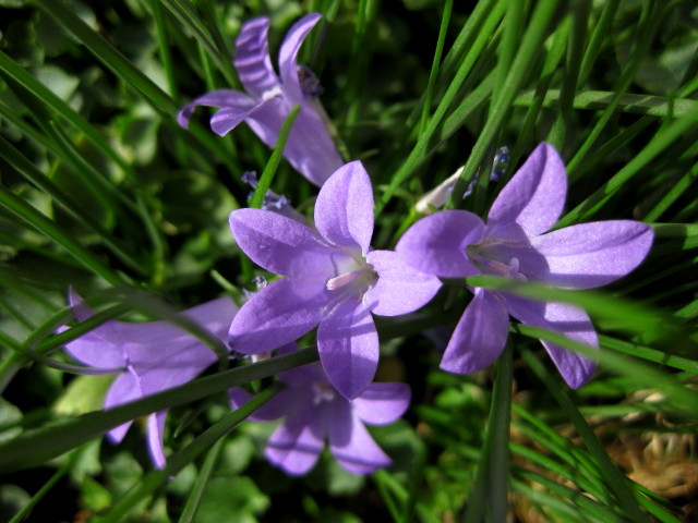 f0236201_9281795.jpg