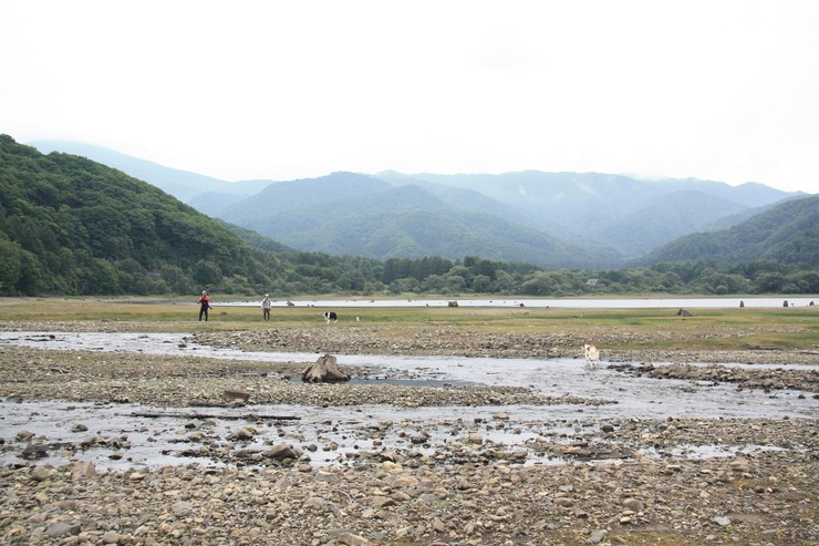 f0034602_19525979.jpg