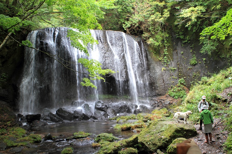 f0034602_19533831.jpg
