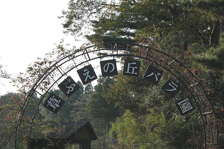 d0166303_0243159.jpg