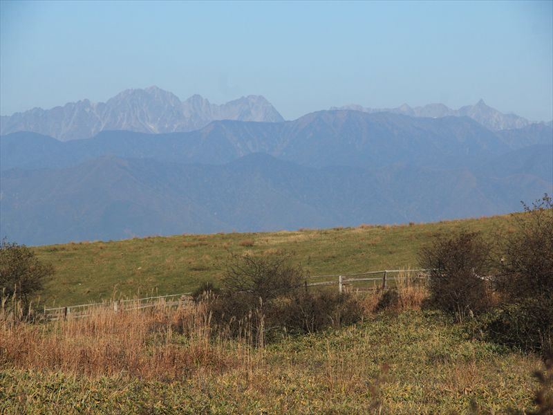 a0188405_11265545.jpg
