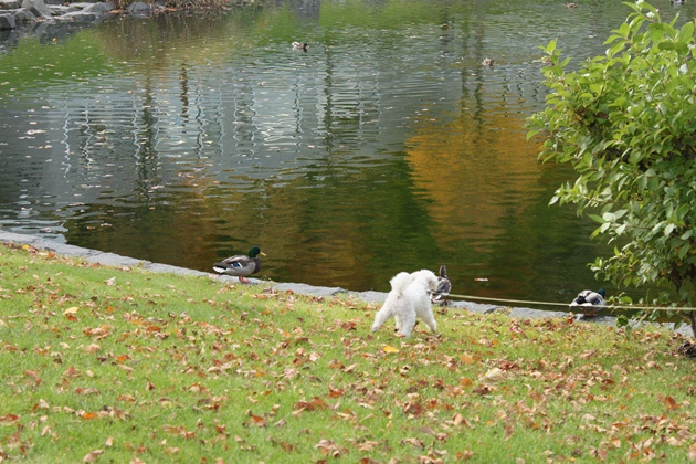 a0109914_2118588.jpg