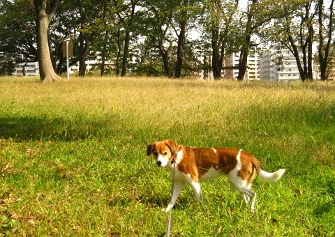 c0084117_21322419.jpg