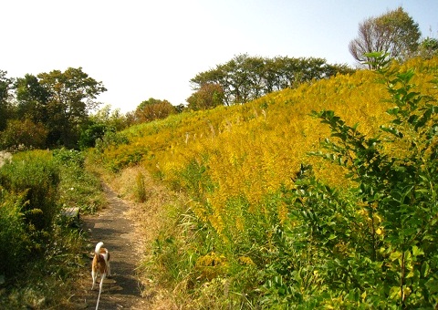 c0084117_2174421.jpg