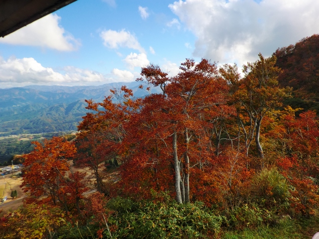 a0256418_19555257.jpg