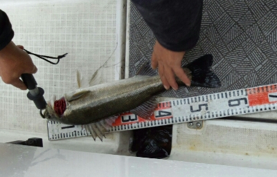 b0236618_153113.jpg