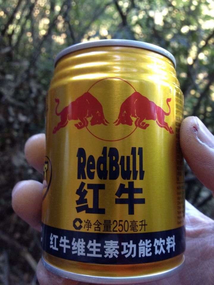 c0210618_22323435.jpg