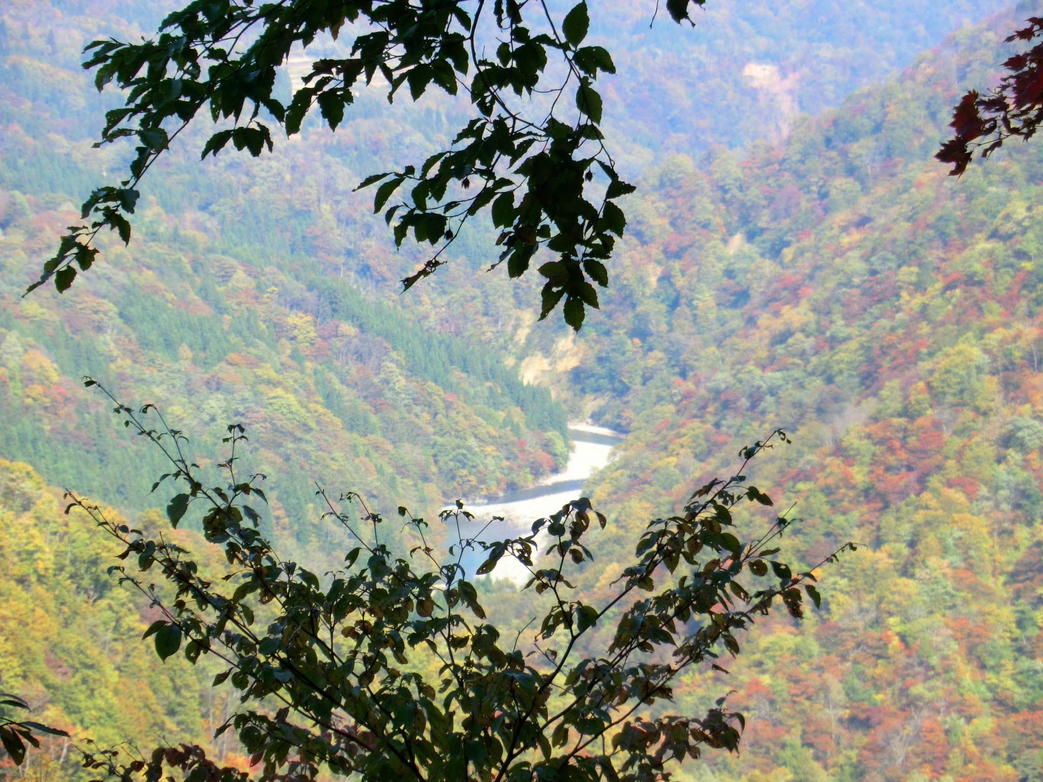 d0221319_1025581.jpg