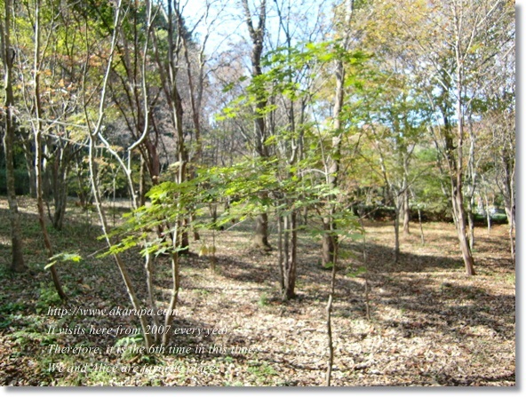 f0182121_924860.jpg