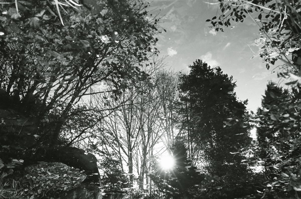 f0182924_19271176.jpg