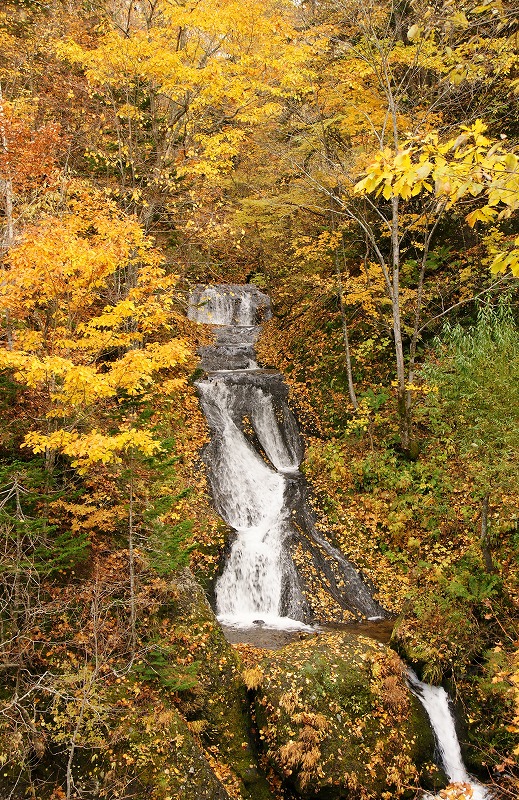 f0046128_7295254.jpg