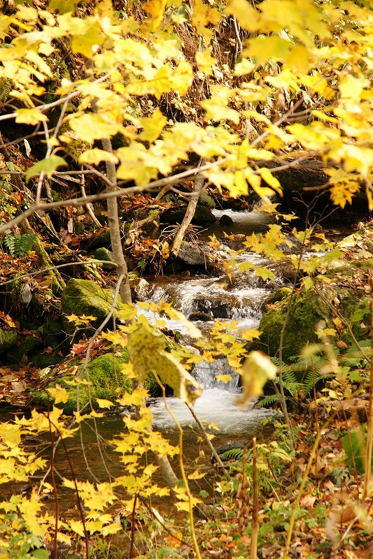 f0046128_7301965.jpg