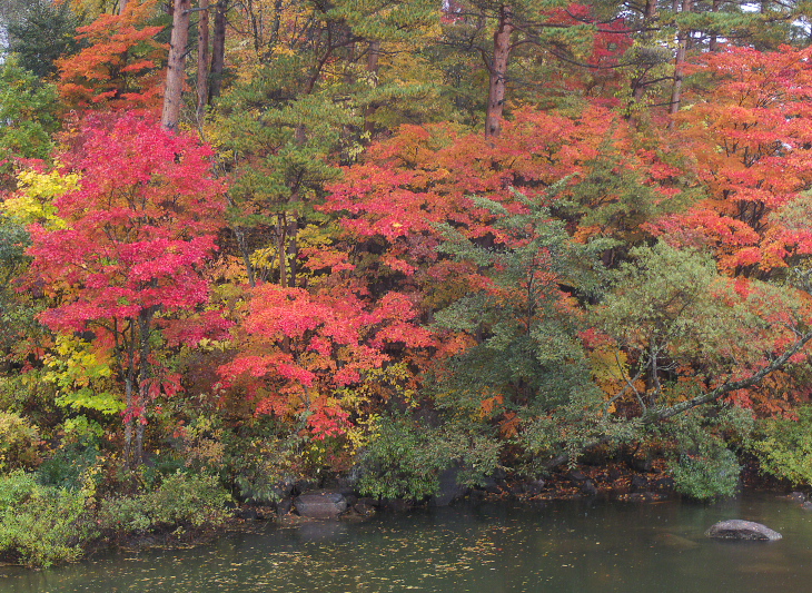 a0253730_1884536.jpg