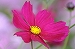 a0017634_2037550.jpg