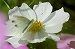 a0017634_20412967.jpg