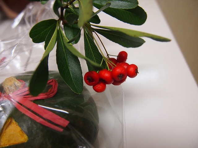 a0280635_13555141.jpg