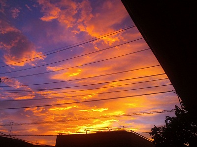 b0184437_248866.jpg