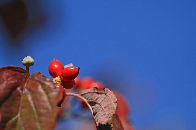 a0242438_201118100.jpg
