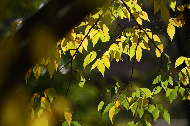 a0242438_20112741.jpg