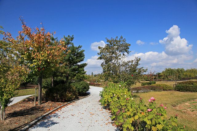 a0242438_20114512.jpg