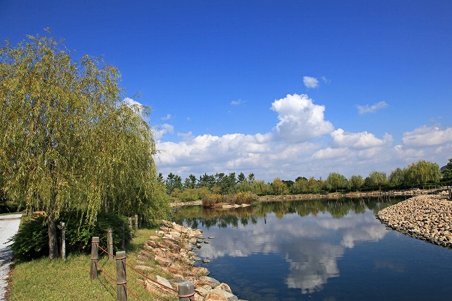 a0242438_20115463.jpg