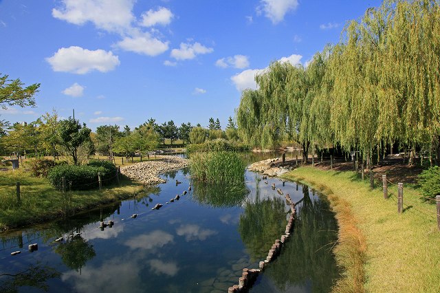 a0242438_20122424.jpg
