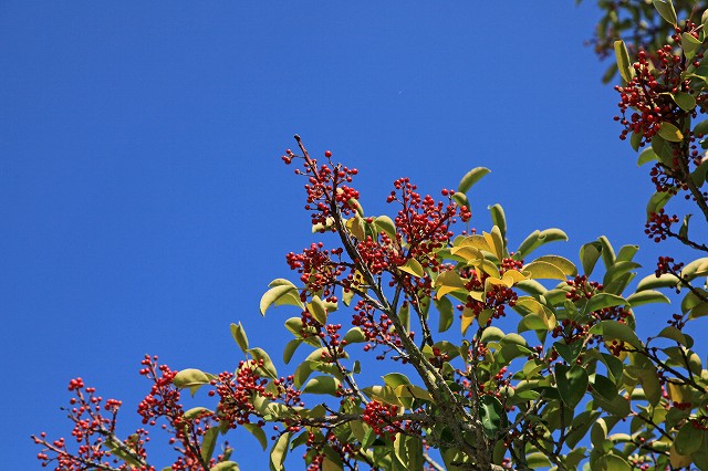 a0242438_20124472.jpg