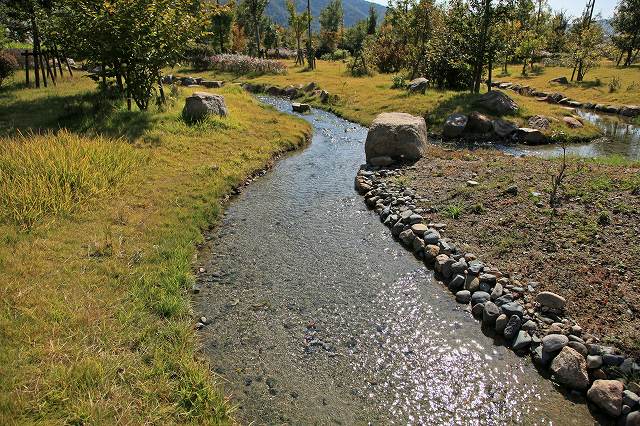 a0242438_20131625.jpg