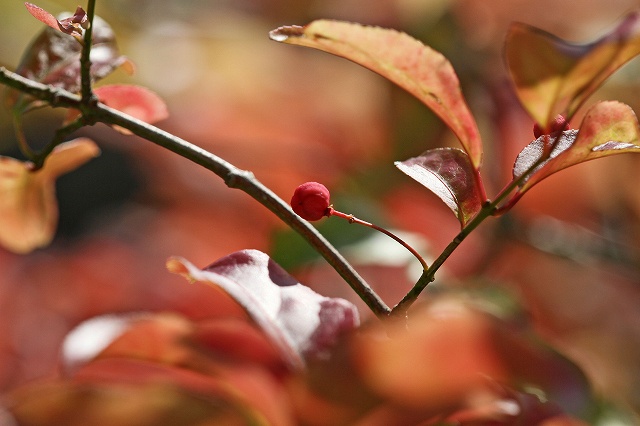 a0242438_20133586.jpg