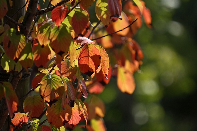 a0242438_201368.jpg