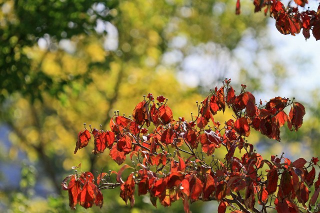 a0242438_2014218.jpg