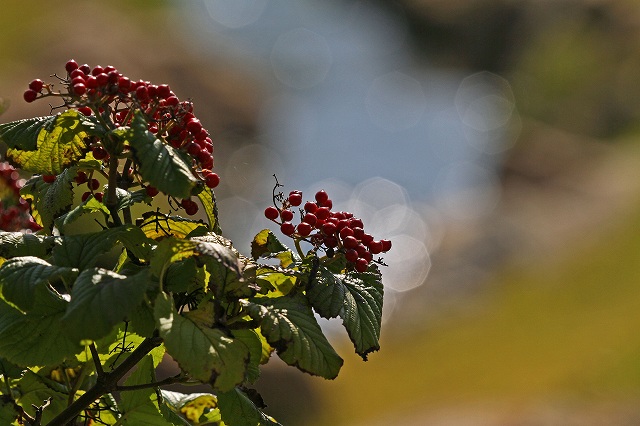 a0242438_20143810.jpg