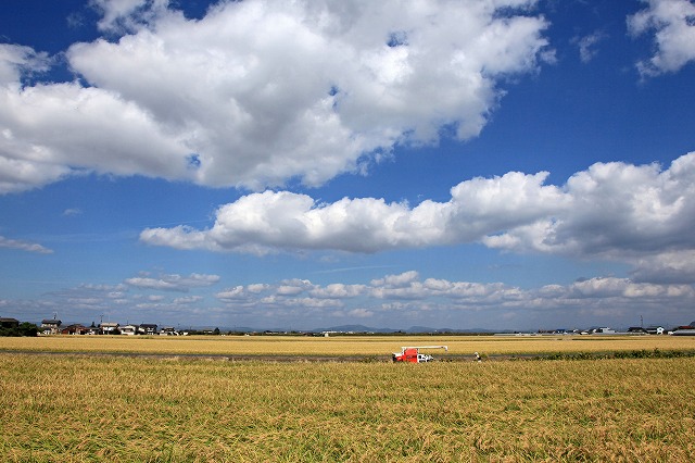 a0242438_20152170.jpg
