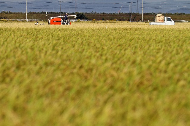 a0242438_20153316.jpg