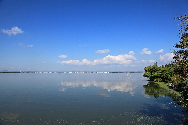 a0242438_2064211.jpg