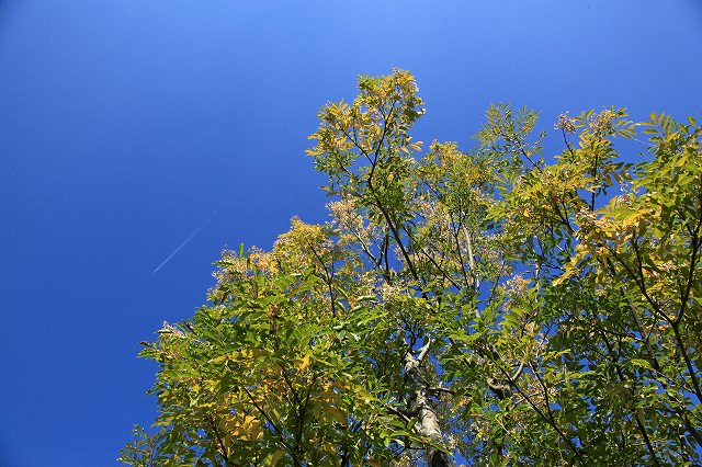 a0242438_2084499.jpg