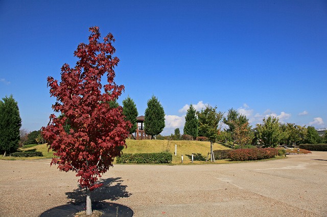 a0242438_208519.jpg