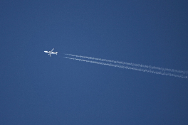 a0242438_2085592.jpg