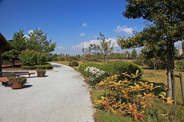 a0242438_2094188.jpg