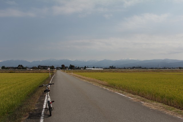 b0132338_741118.jpg