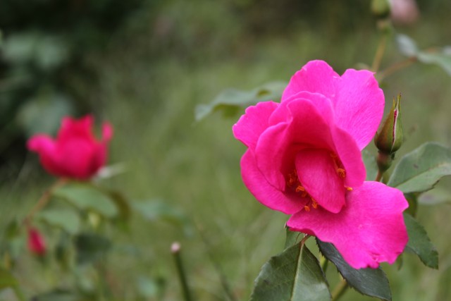 b0132338_7462283.jpg