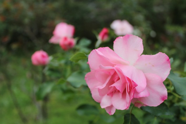 b0132338_7464412.jpg