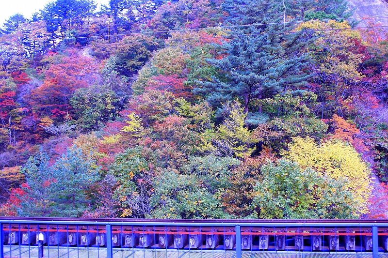 c0229539_8431947.jpg