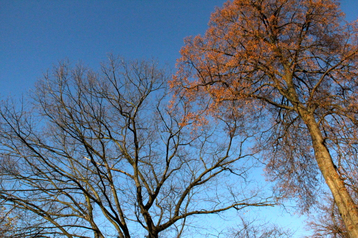 c0153740_127269.jpg