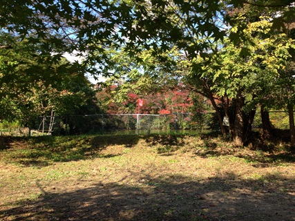 a0116442_14402952.jpg