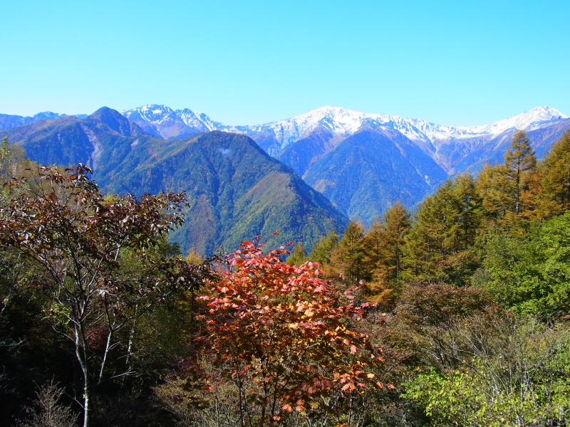 b0190242_22325366.jpg