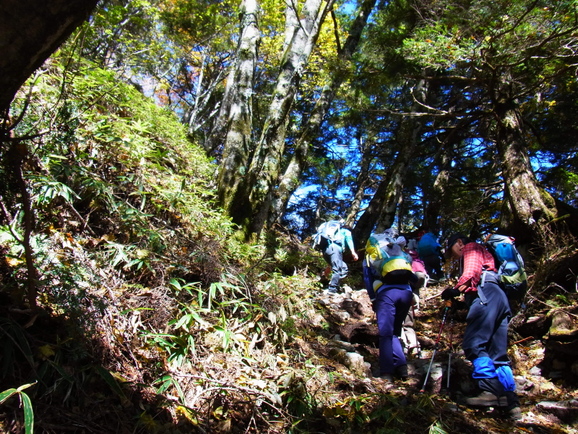 b0190242_22343659.jpg