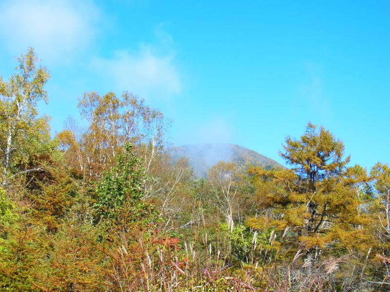 b0190242_2234799.jpg