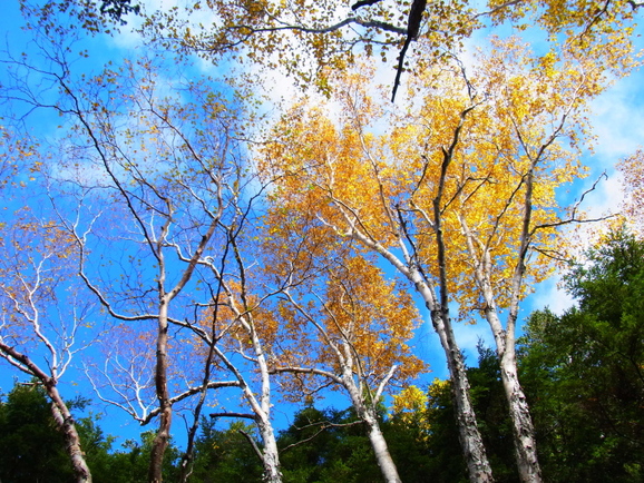 b0190242_22362898.jpg